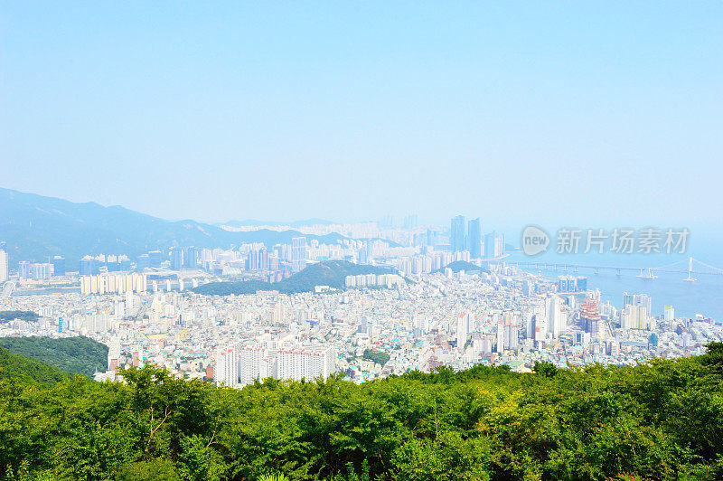 从锦莲山俯瞰釜山的全景