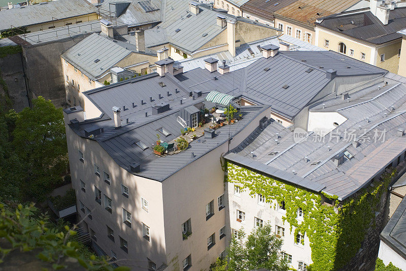 萨尔茨堡的屋顶花园