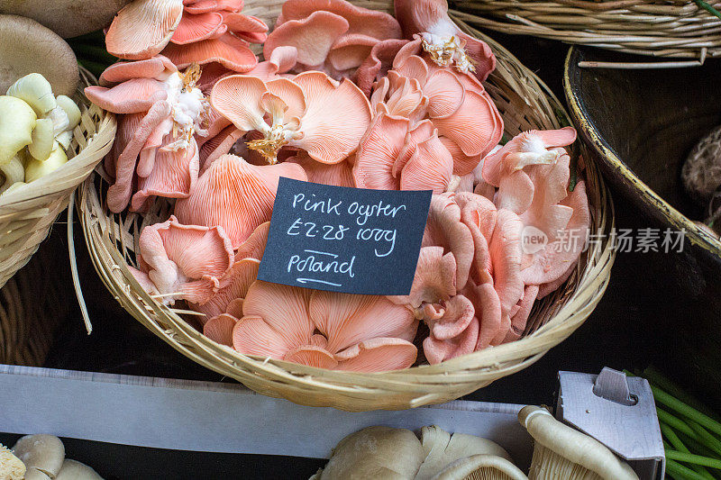 伦敦博罗市场的粉色牡蛎蘑菇