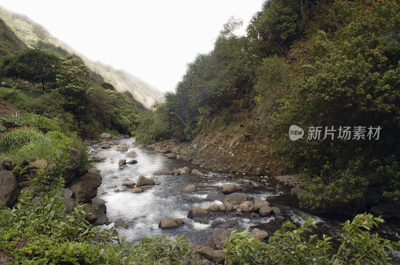 流动的小溪