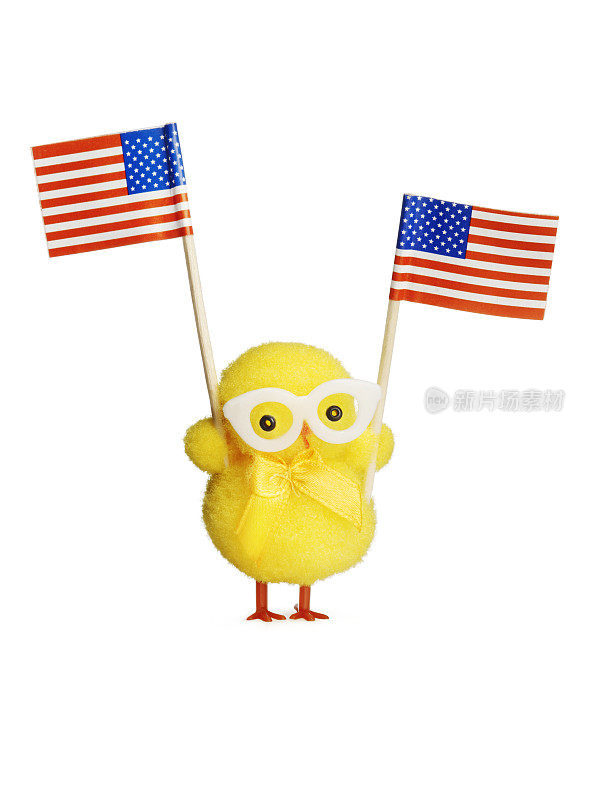 拿着两面美国国旗的小鸡