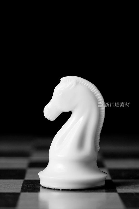 国际象棋的骑士