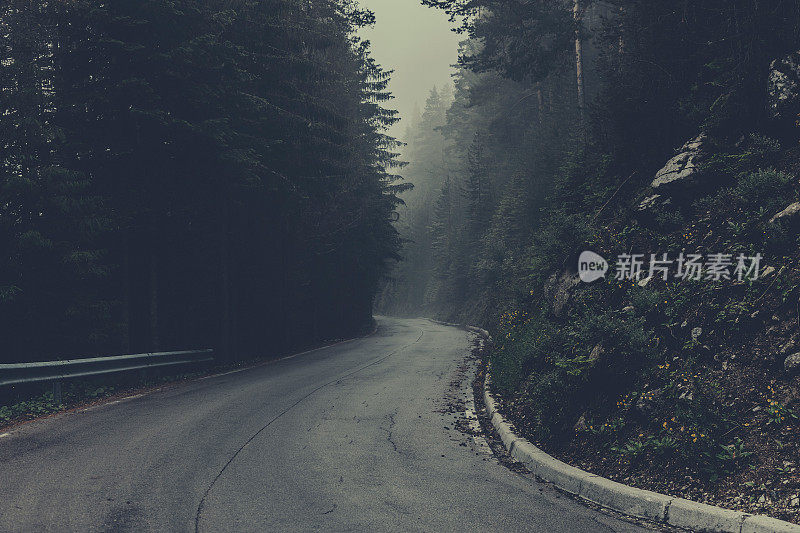 蜿蜒的道路在迷雾笼罩的森林里