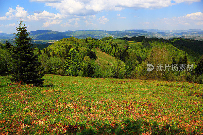 五月的山景。Beskid,波兰。