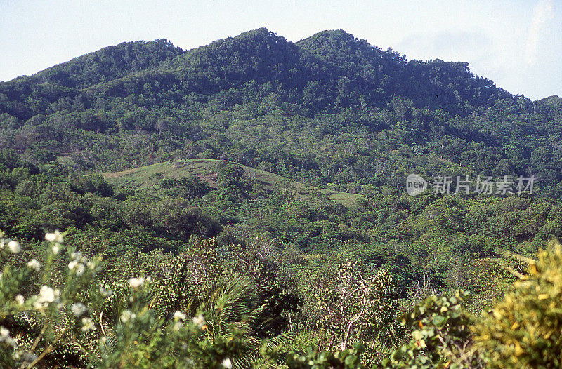 森林保护区东端罗阿坦湾群岛洪都拉斯