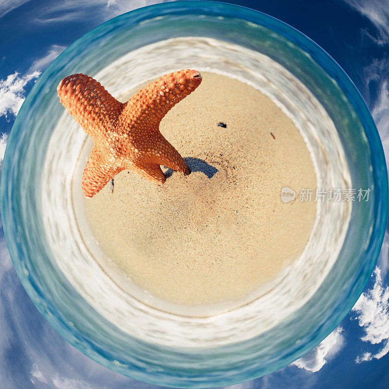 海滩上的海星——360度全景