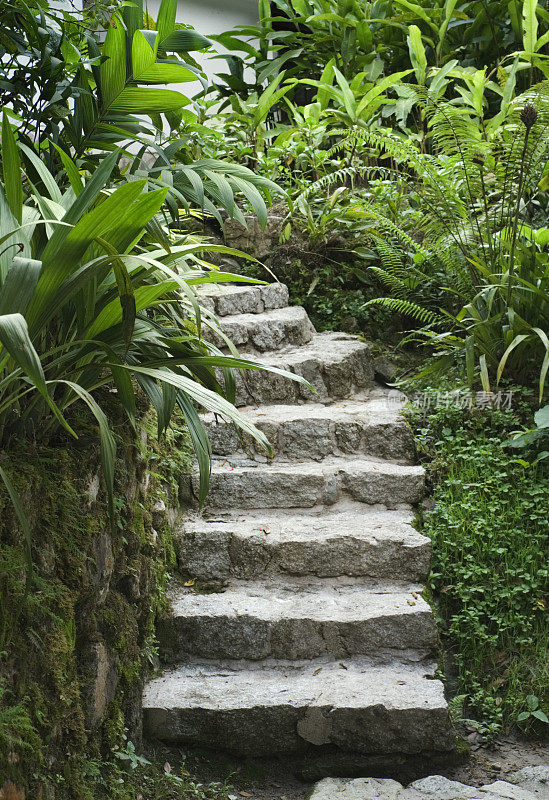 林地花园的石阶
