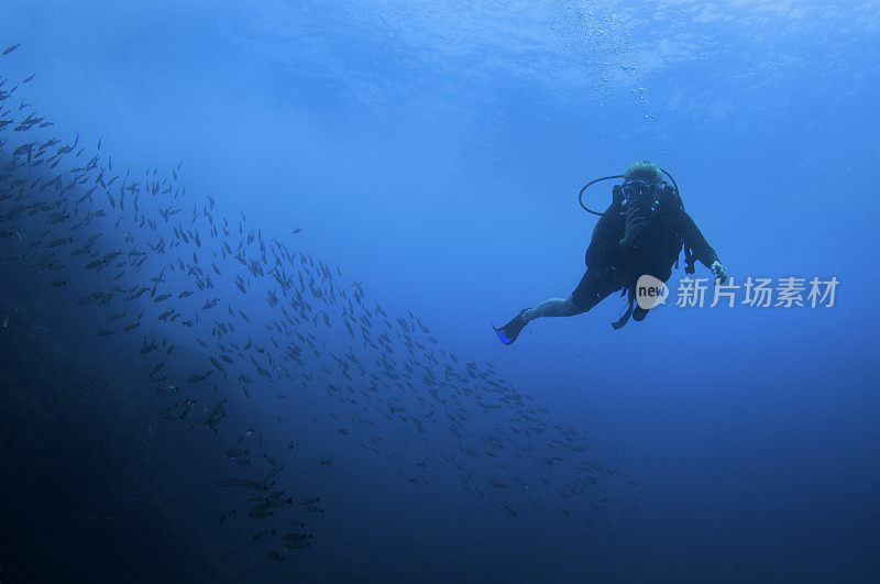在蓝色开阔的海洋中，一群鱼的边缘处，一名女潜水员
