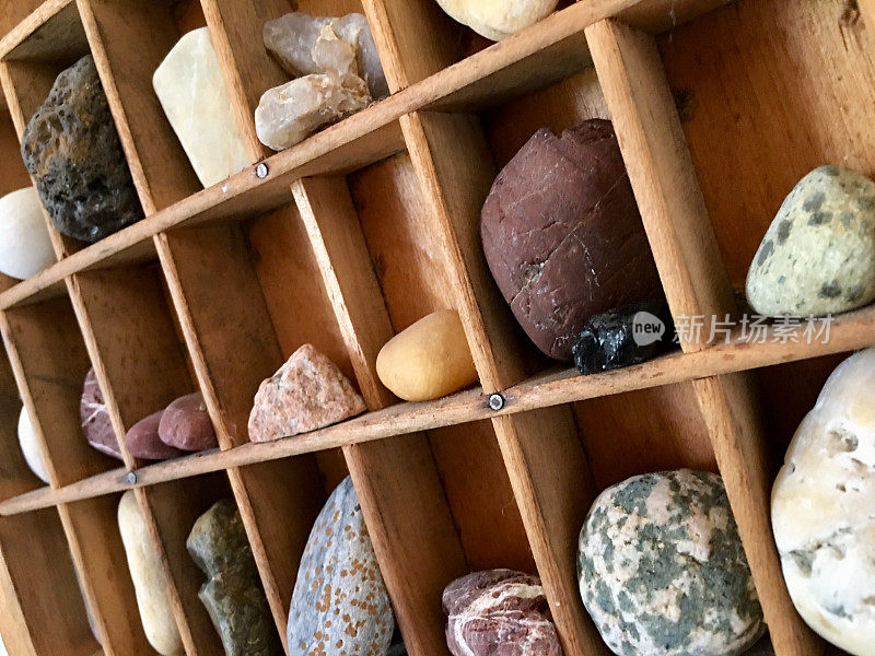 陈列在木架上的岩石收藏品
