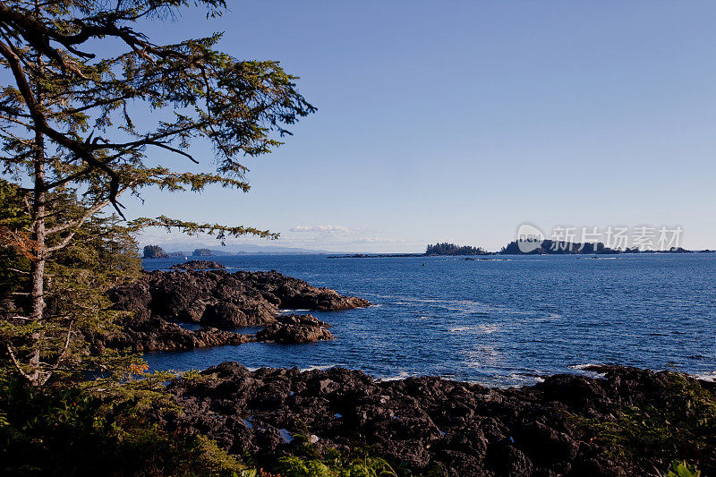 沿着野生太平洋小径的海景