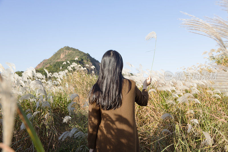 后视图有吸引力的女人走过草地