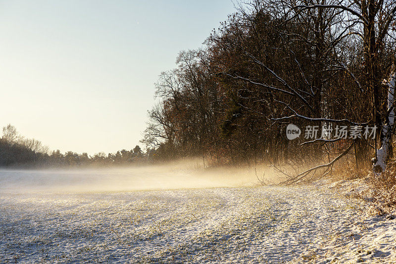 奥斯陆冬天的田野，有雾，太阳低垂。