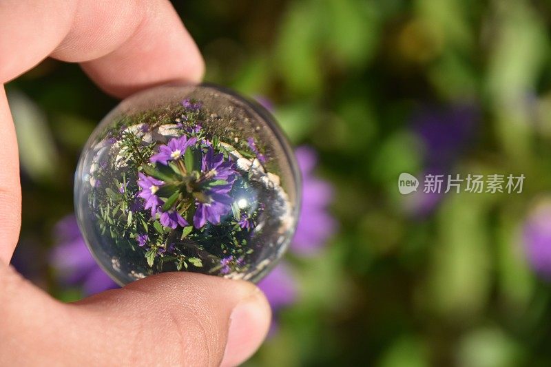 花透过水晶球