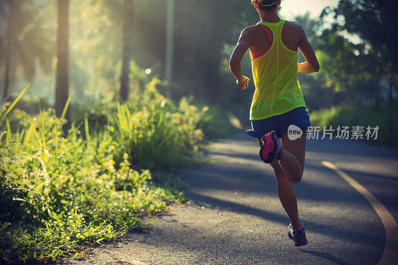健身年轻女子晨跑热带森林小径