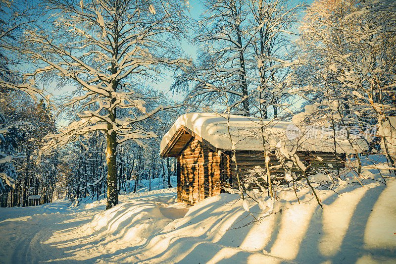 木屋在冬天的森林，霜雪在阳光明媚的日子