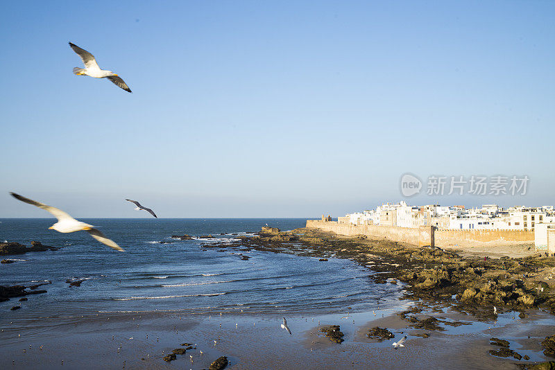 海滩，大西洋海岸的天际线Essaouira，马拉喀什，摩洛哥