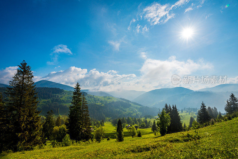 多雾的早晨的太阳