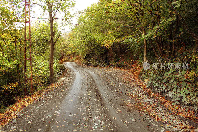 蜿蜒的泥土路与五颜六色的秋叶和树林