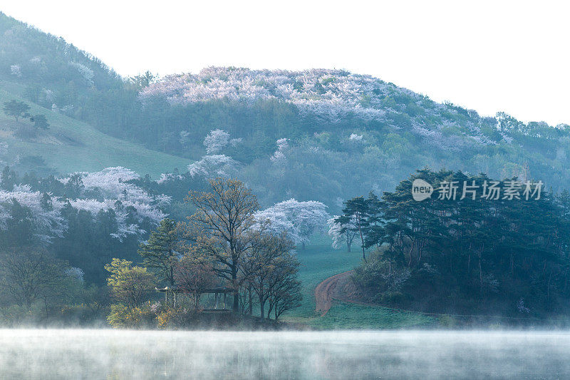 永碧水库美丽的山泉风景Vd737