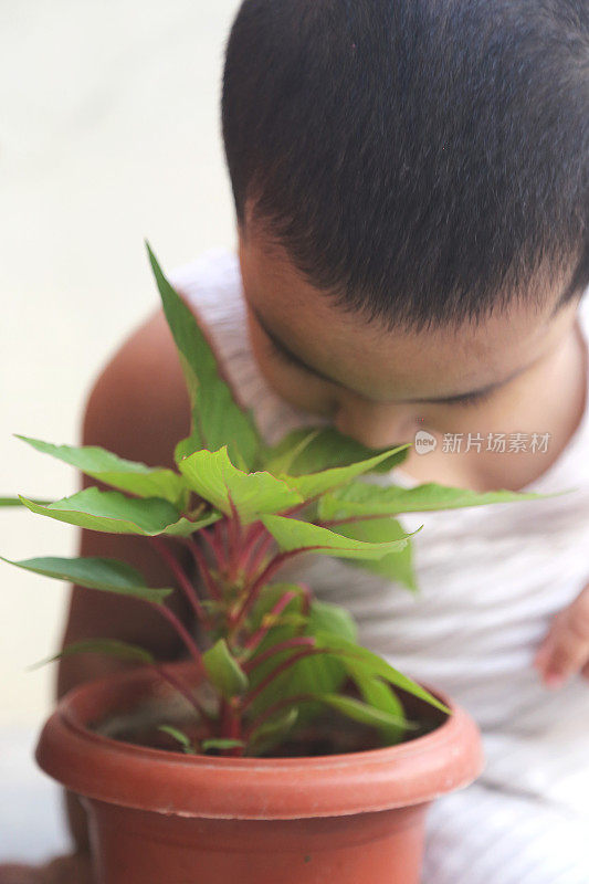 小女孩和植物幼苗