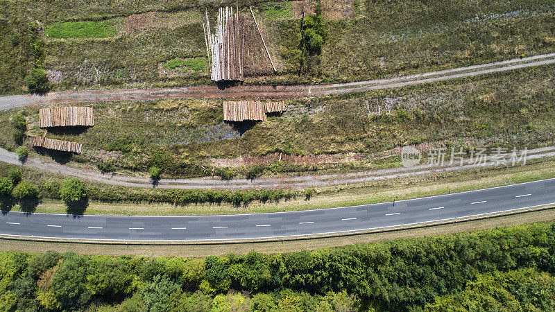 森林砍伐面积和道路