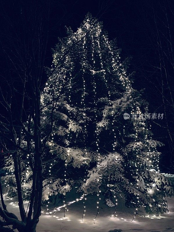 照亮了室外圣诞树的夜晚，白雪覆盖