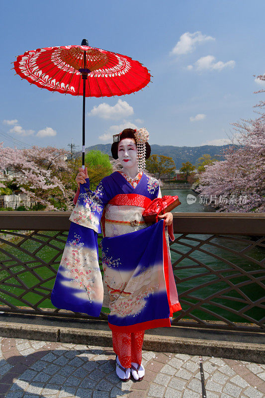 穿着美子服饰的日本女人在京都的桥上欣赏樱花