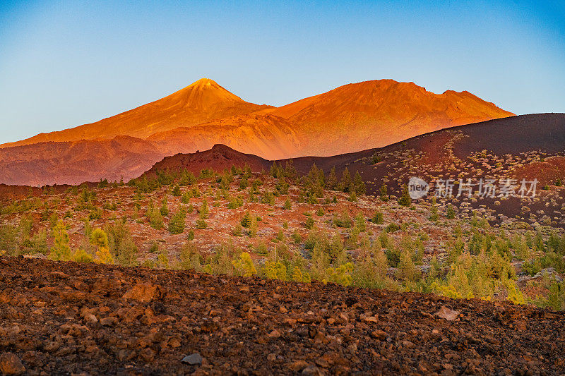 Teide山景观，Teide火山和Teide国家公园的熔岩风景-特内里费，西班牙