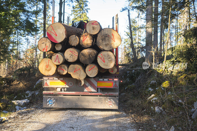 森林木材运输