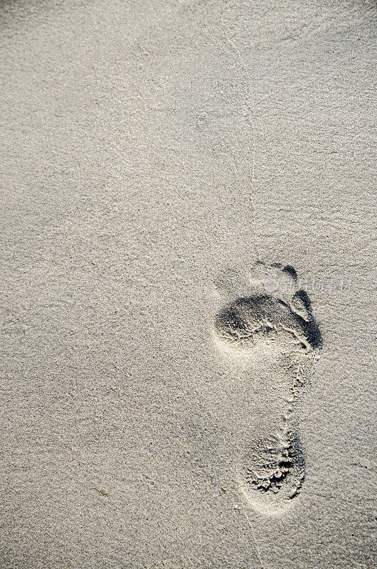 脚踩在湿沙上