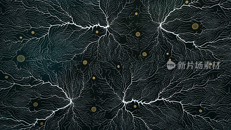 神经元系统