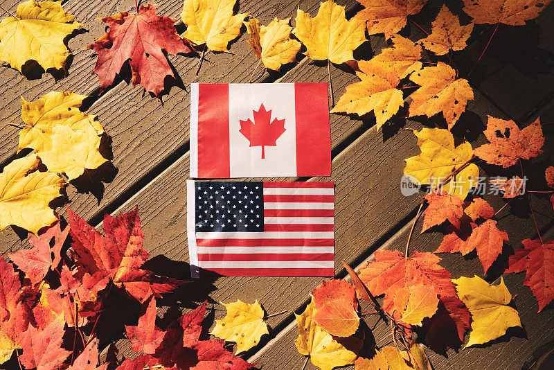 枫叶之间插着美国和加拿大的国旗