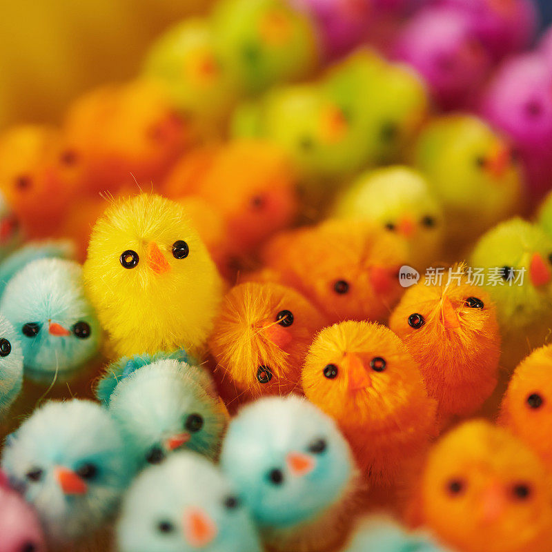 复活节背景与充满活力的彩色小复活节小鸡