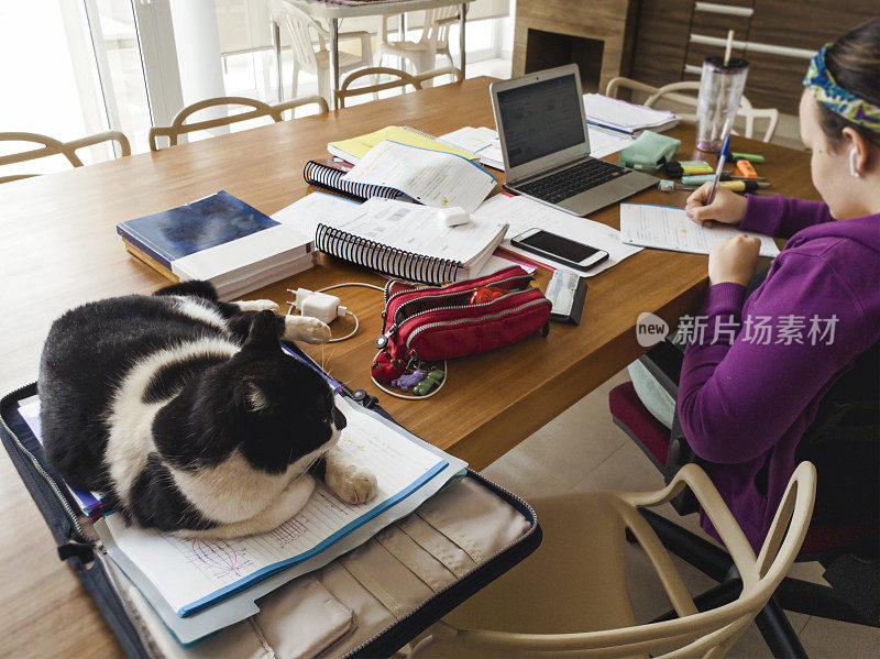 学生和她的猫在家里上课
