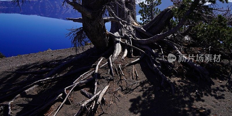 火山口湖的根