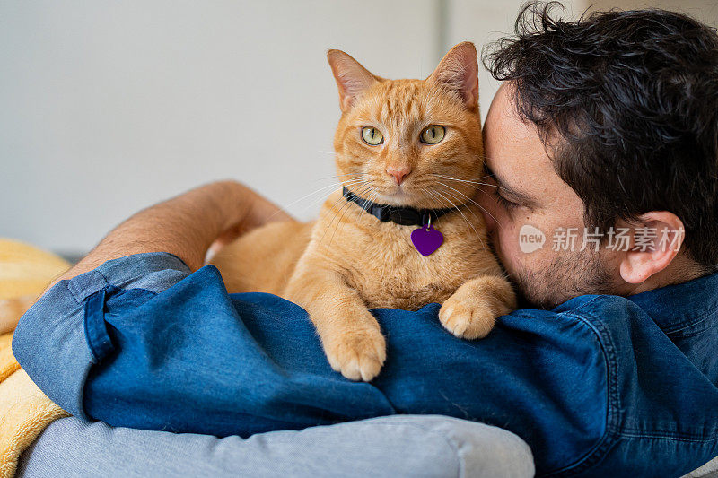 家里有只姜黄色猫的男人