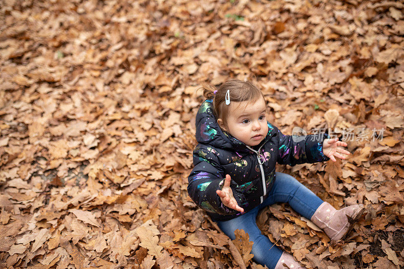 小女孩在玩树叶