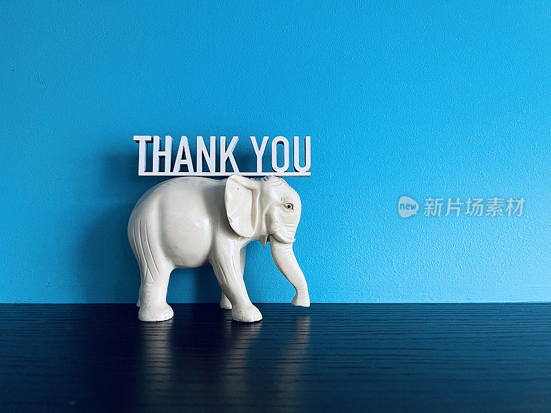 大象戴着感谢短信