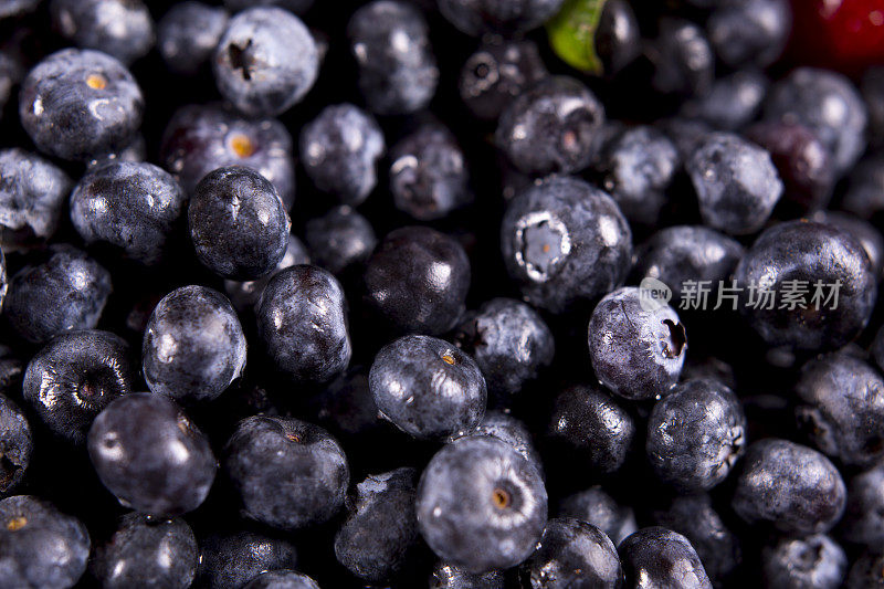 水果背景-完整框架的新鲜多汁的蓝色浆果