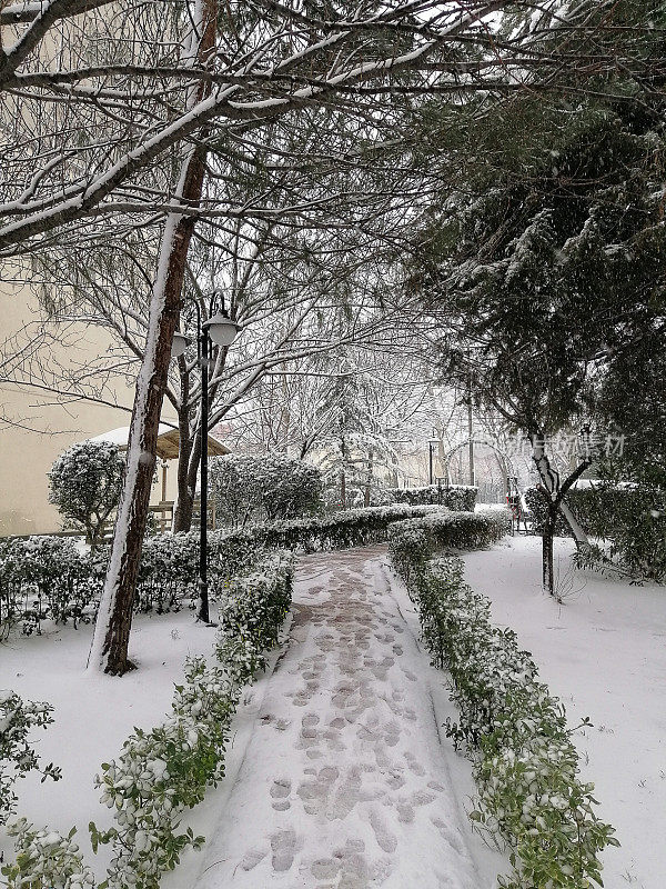 下雪的一天