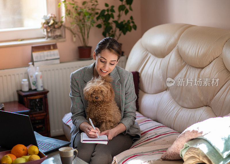一位商业女性正在为人力资源部的工作日程写文章，而她的玩具贵宾犬则坐在她的腿上。