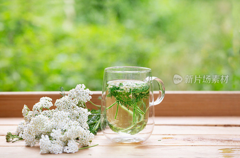 用未栽培的蓍草或千叶蓍草制成的草本茶