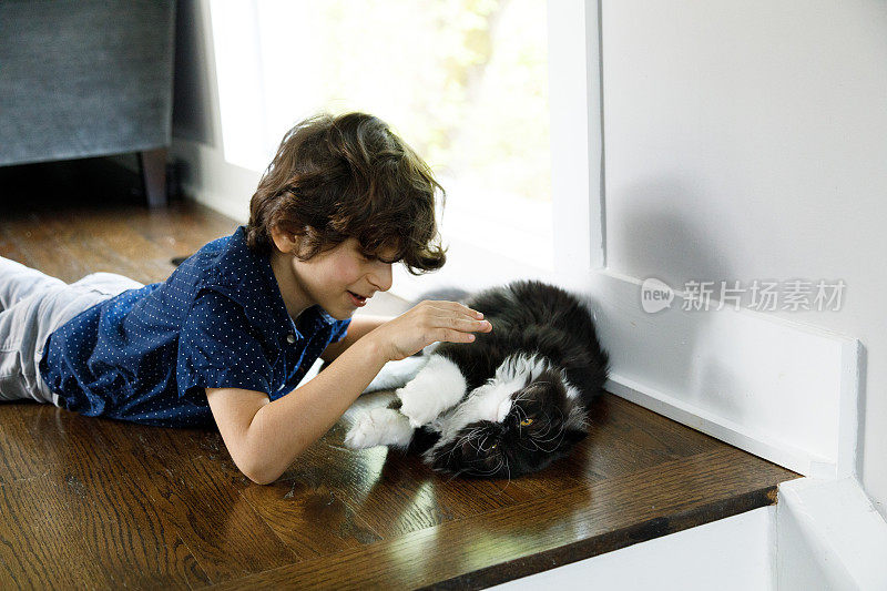 男孩和他的猫
