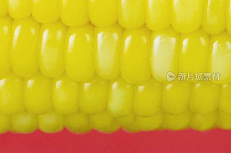 玉米在玉米芯上收起来——红色背景。