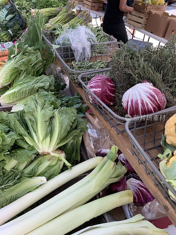 佛罗里达州西棕榈滩当地绿色市场的新鲜蔬菜