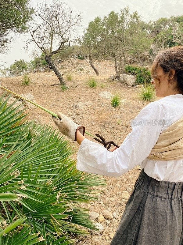 一位妇女在田野里采摘植物的叶子