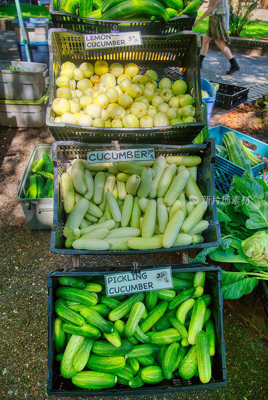 农贸市场的柠檬黄瓜、白黄瓜和腌菜黄瓜