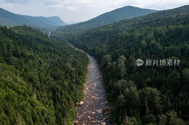 鸟瞰图的北方自然森林和河流在夏天，魁北克，加拿大