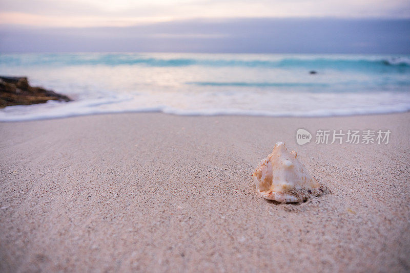 墨西哥坎昆，海浪拍打着贝壳