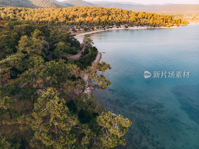 无人机观察爱琴海海岸线和松树林